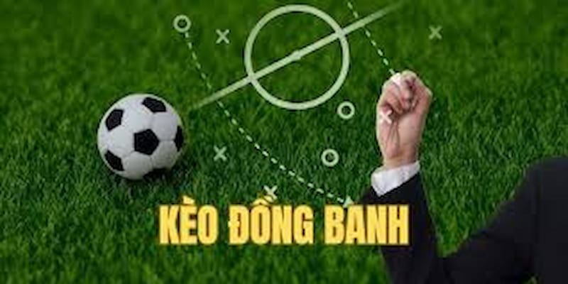 Cách đọc và hiểu bảng tỷ lệ Kèo đồng banh