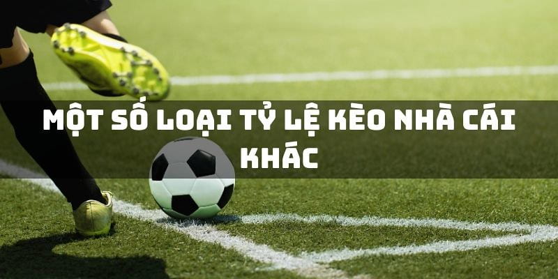 Tỷ lệ kèo nhà cái bóng đá Tổng quan về tỷ lệ kèo nhà cái bóng đá